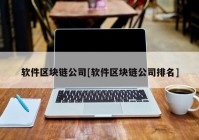 软件区块链公司[软件区块链公司排名]